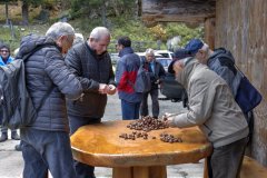 Castagnata 2017