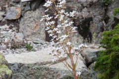 Trekking Marguareis-Mongioie