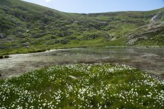 Trekking Marguareis-Mongioie
