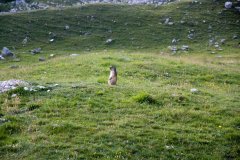 Trekking Marguareis-Mongioie