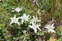 Trekking Marguareis-Mongioie