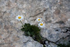 Trekking Marguareis-Mongioie
