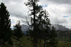 Trekking Alta Pusteria