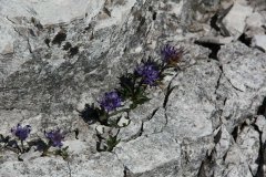 Trekking Alta Pusteria