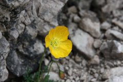 Trekking Alta Pusteria