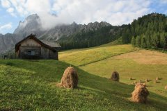 Trekking Alta Pusteria