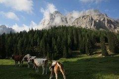 Trekking Alta Pusteria