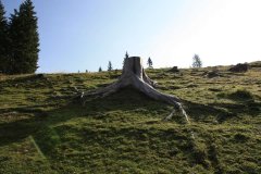 Trekking Alta Pusteria