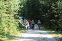 Trekking Alta Pusteria